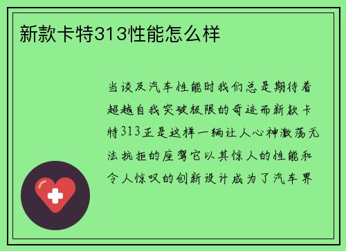 新款卡特313性能怎么样